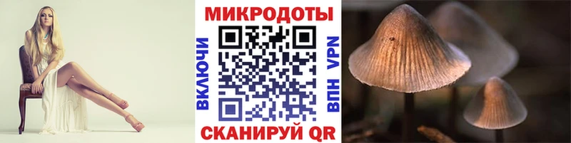 Галлюциногенные грибы GOLDEN TEACHER  купить наркотики сайты  Железногорск-Илимский 